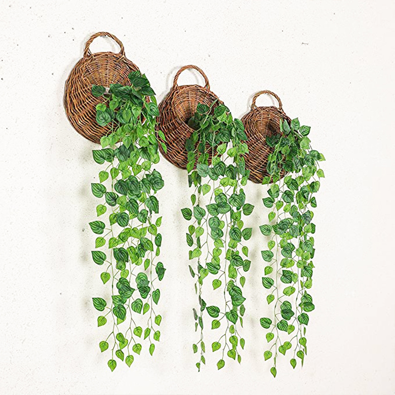 Pilea Peperomioides - Artificial Basket Rattan Hanging Plants Ivy