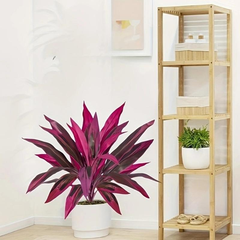 60cm Tall Artificial Dracaena  - Dracaena Marginata recensie en prijs