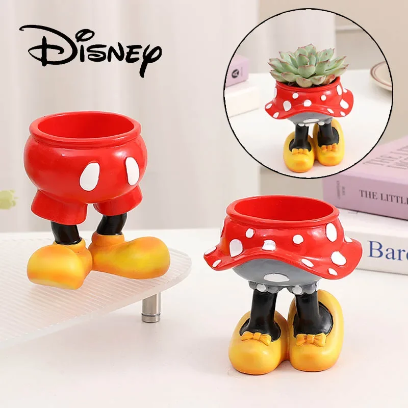 Disney Mickey Minnie Flower Po - Echeveria Succulent recensie en prijs