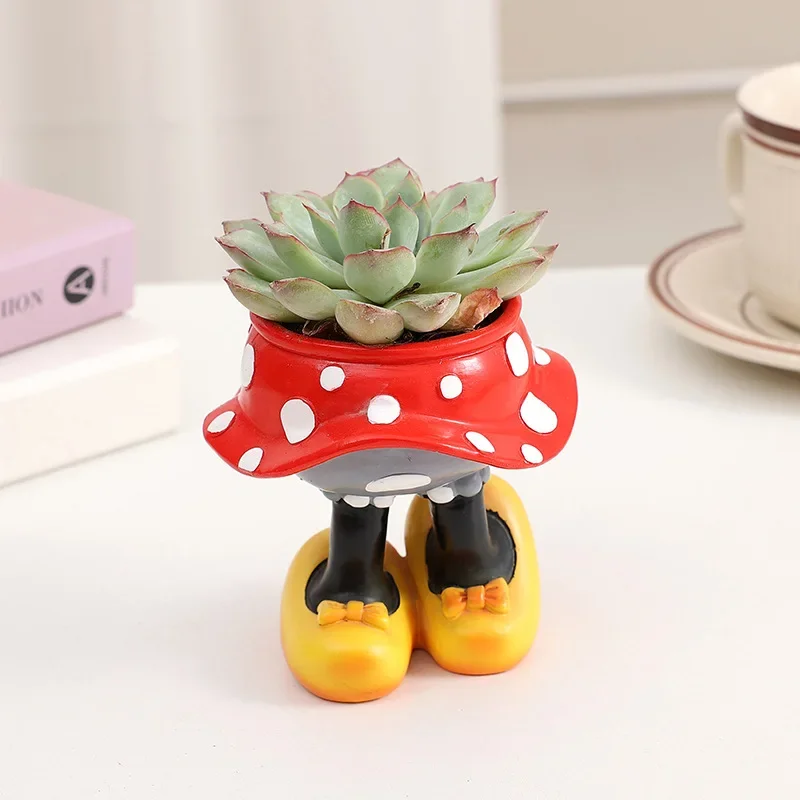 Disney Mickey Minnie Flower Po - Echeveria Succulent recensie en prijs