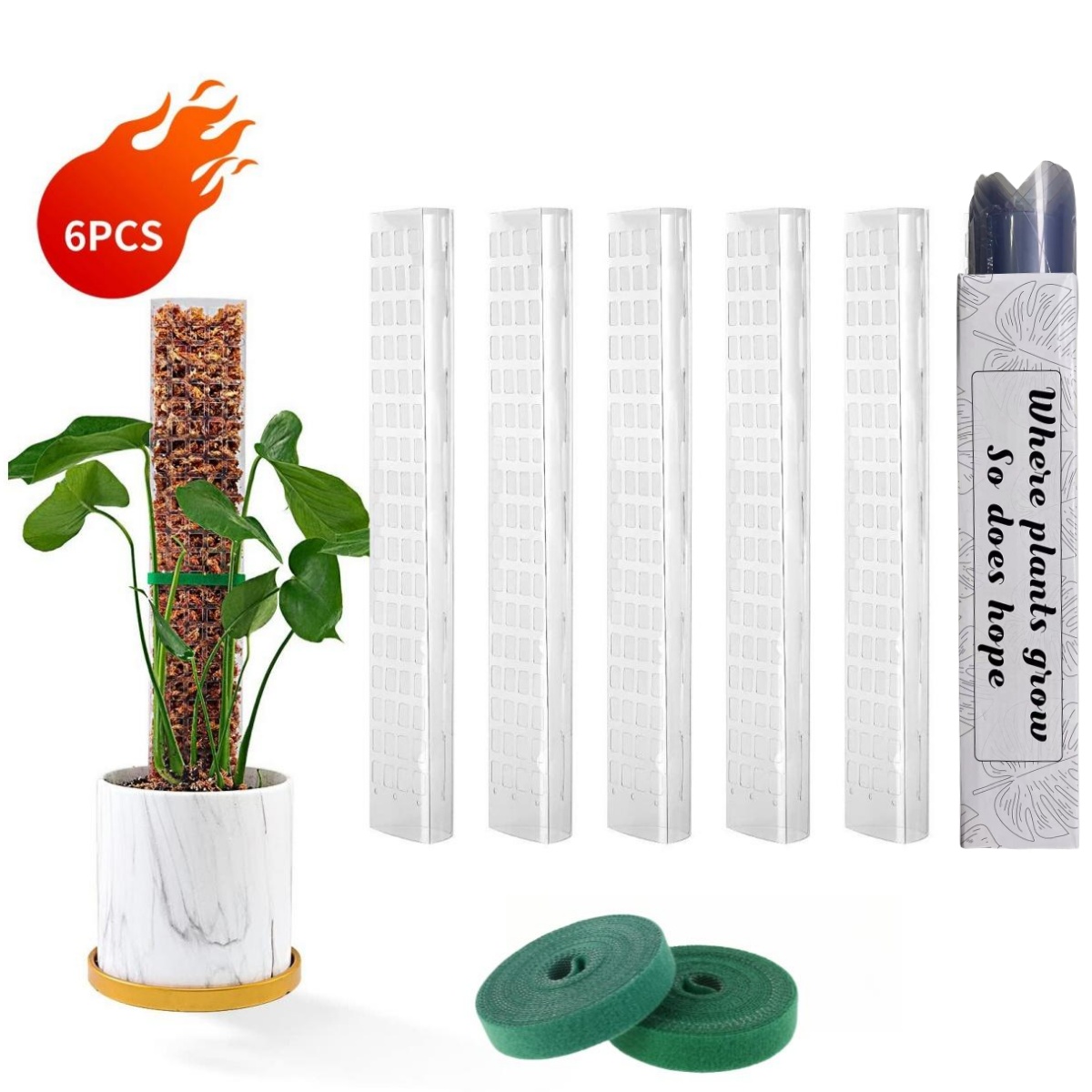 Moss Poles Plants Plant Suppor - Echeveria Succulent recensie en prijs