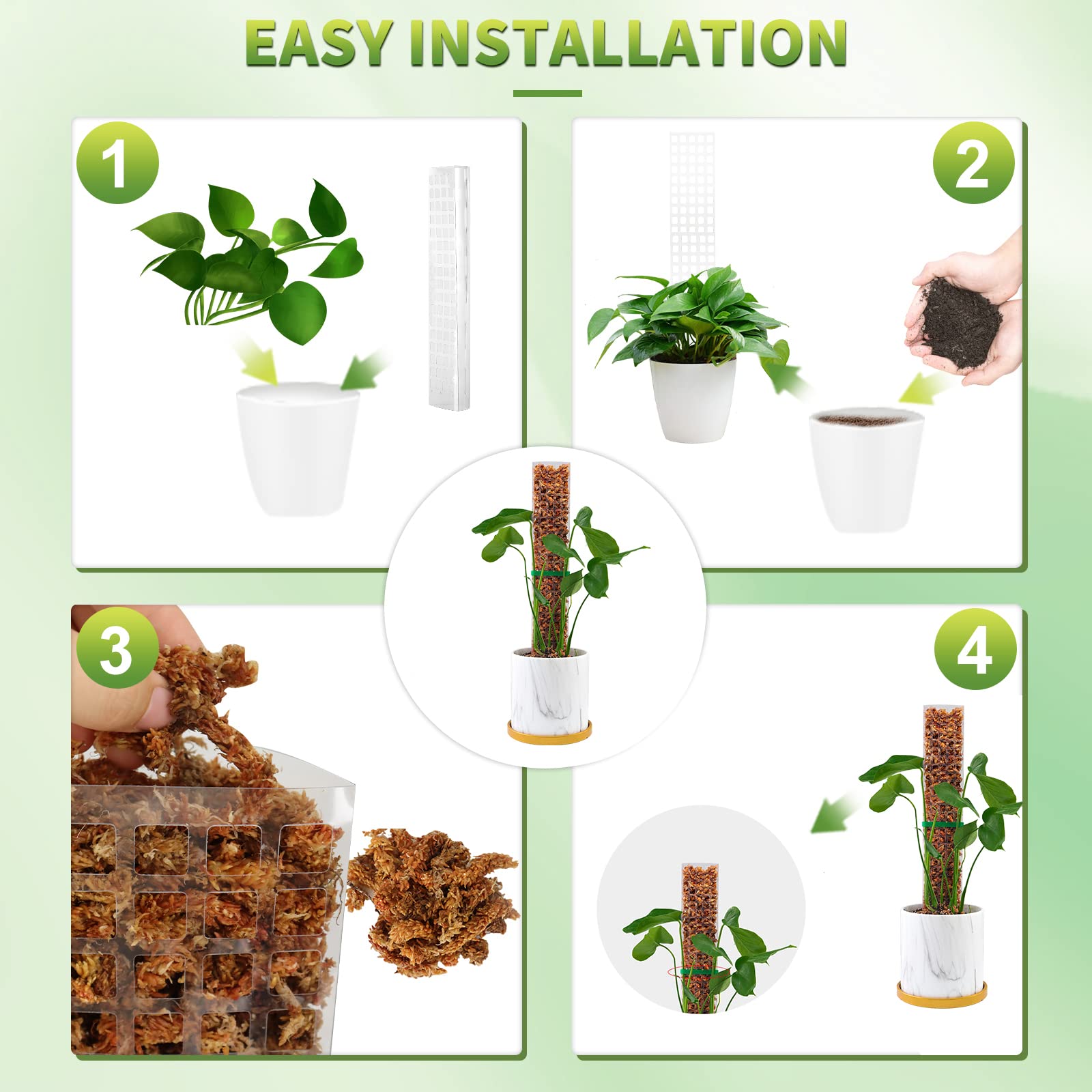 Moss Poles Plants Plant Suppor - Echeveria Succulent recensie en prijs