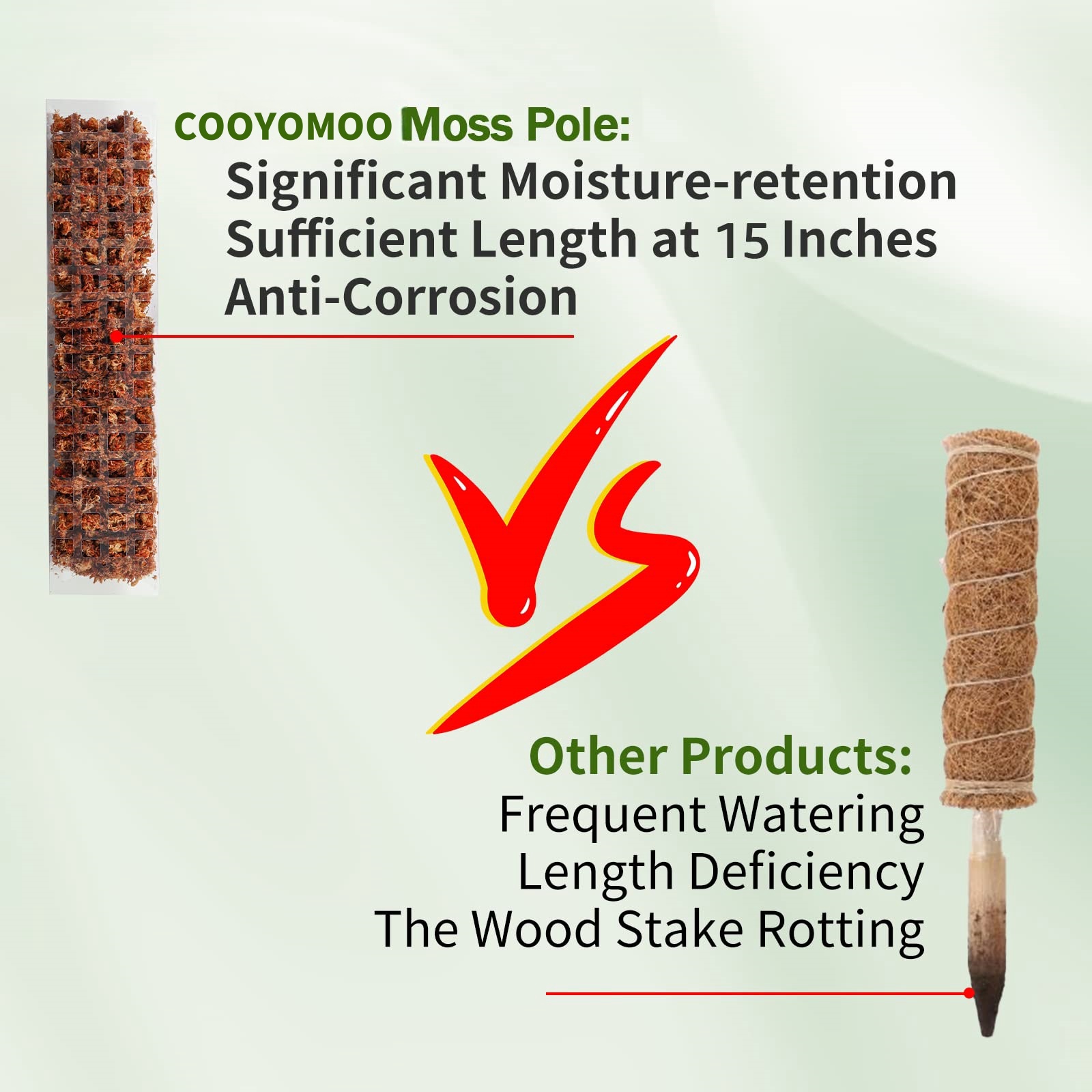 Moss Poles Plants Plant Suppor - Echeveria Succulent recensie en prijs
