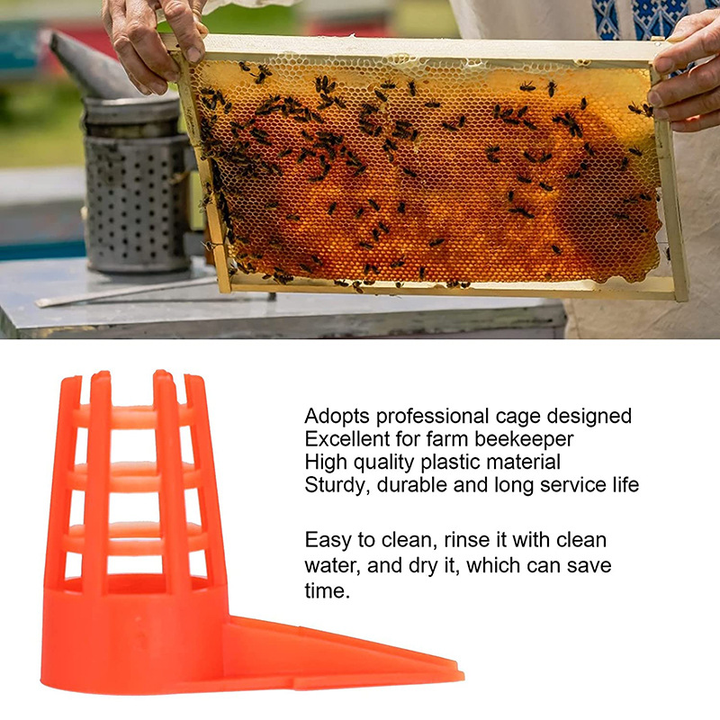 20 PcsKing Cells Plastic Bee Q - Begonia Rex recensie en prijs