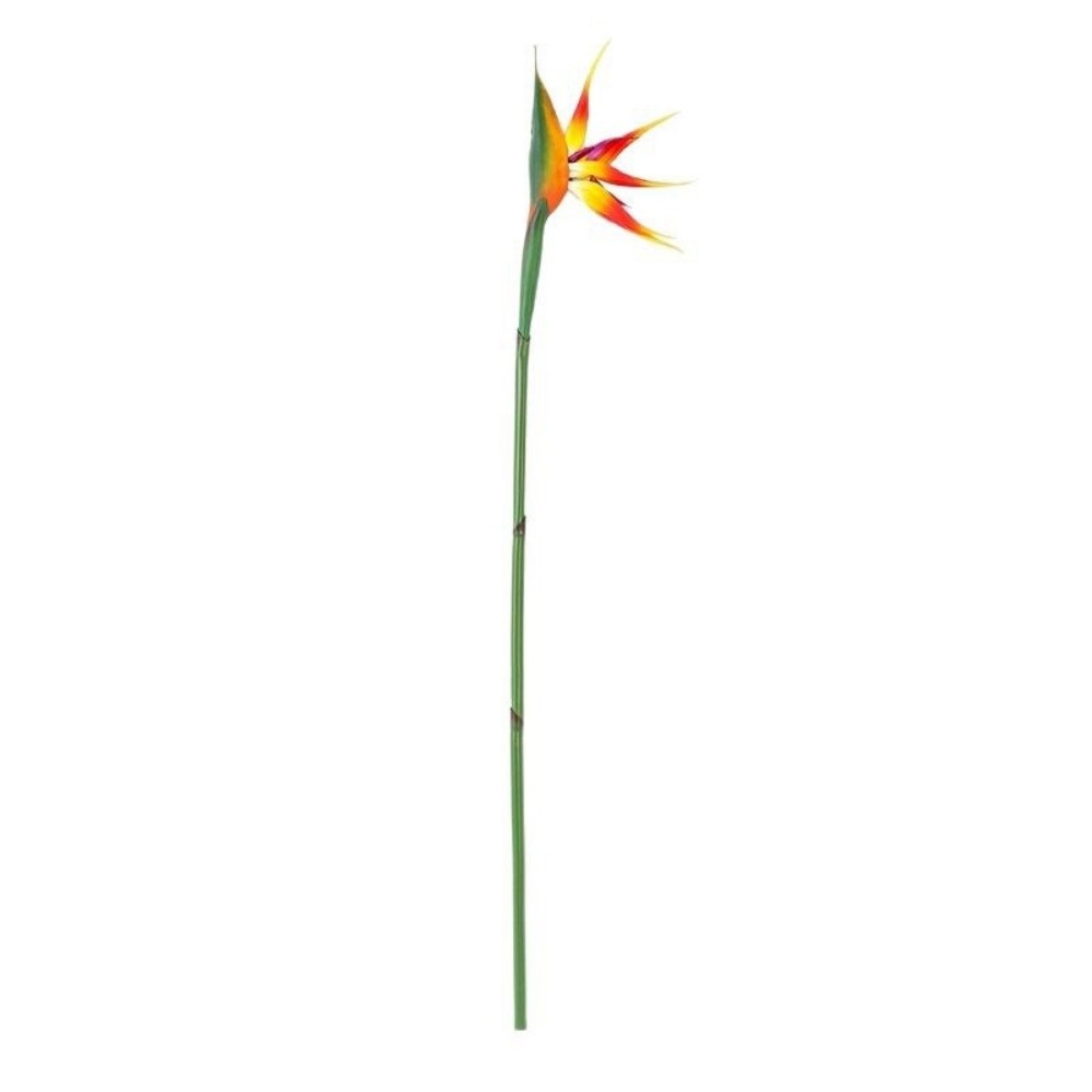 New Long Stem Artificial Bird  - Bird Paradise Strelitzia recensie en prijs