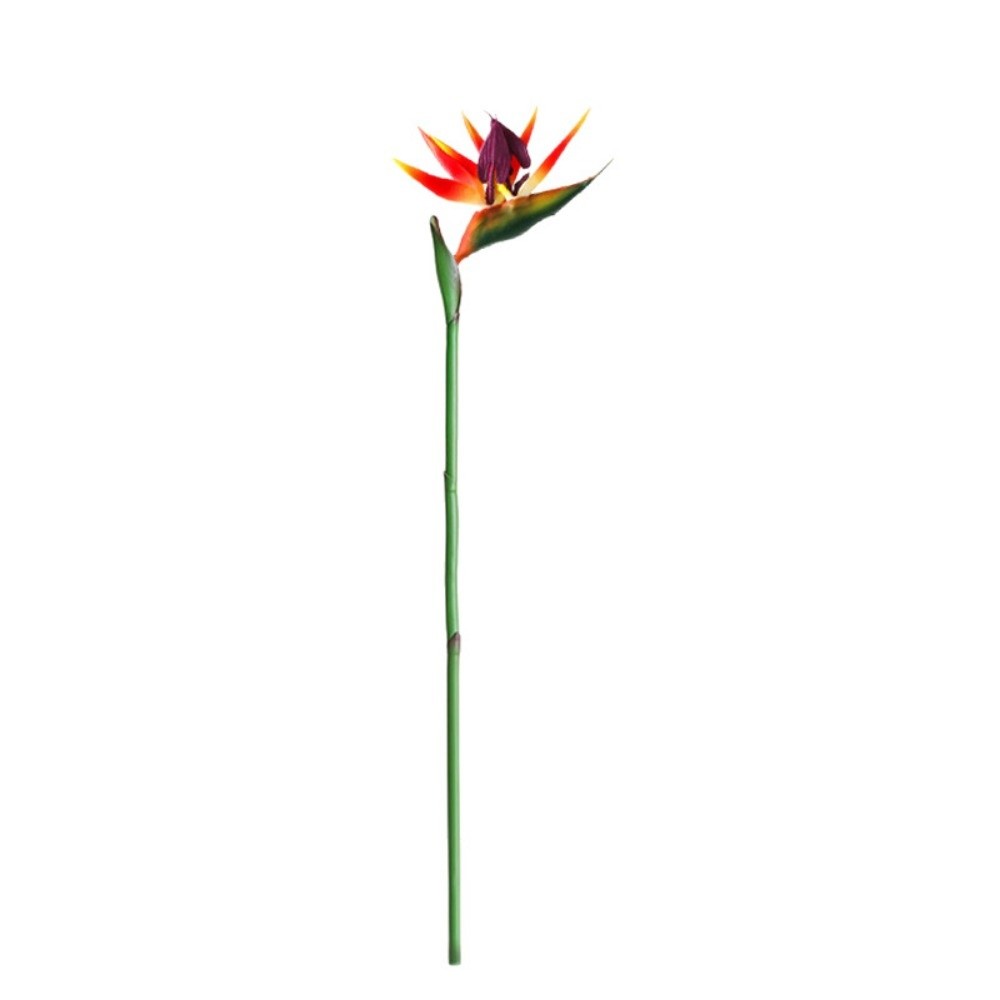 New Long Stem Artificial Bird  - Bird Paradise Strelitzia recensie en prijs