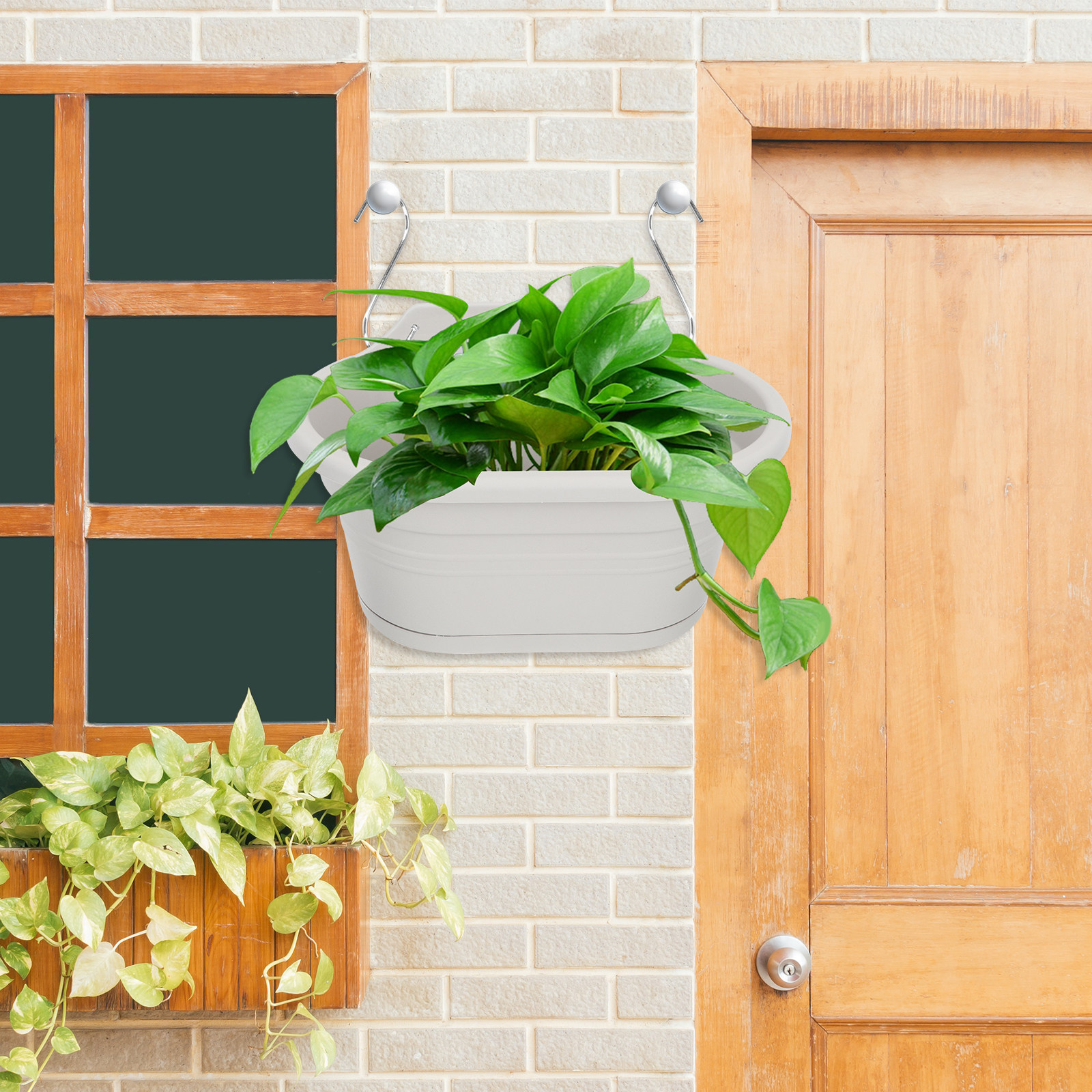 1Set Wall Hanging Flower Pot S - Spider Plant Hanging recensie en prijs