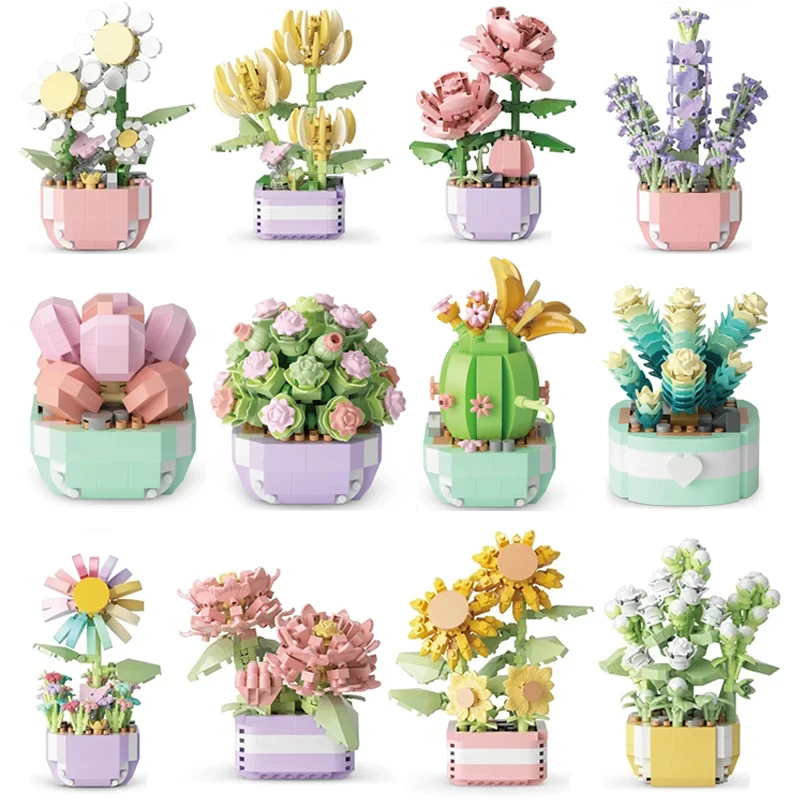 Flower Succulents Building Blo - Echeveria Succulent recensie en prijs