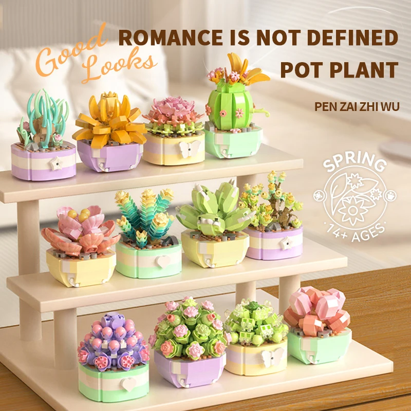 Flower Succulents Building Blo - Echeveria Succulent recensie en prijs