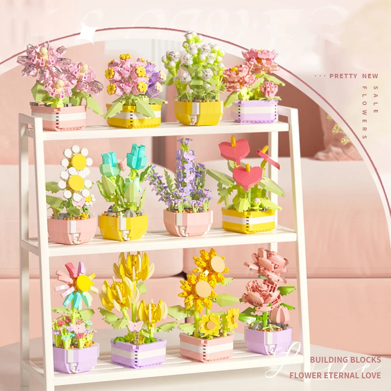 Flower Succulents Building Blo - Echeveria Succulent recensie en prijs