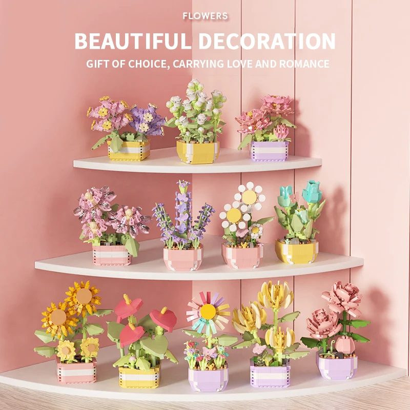 Flower Succulents Building Blo - Echeveria Succulent recensie en prijs