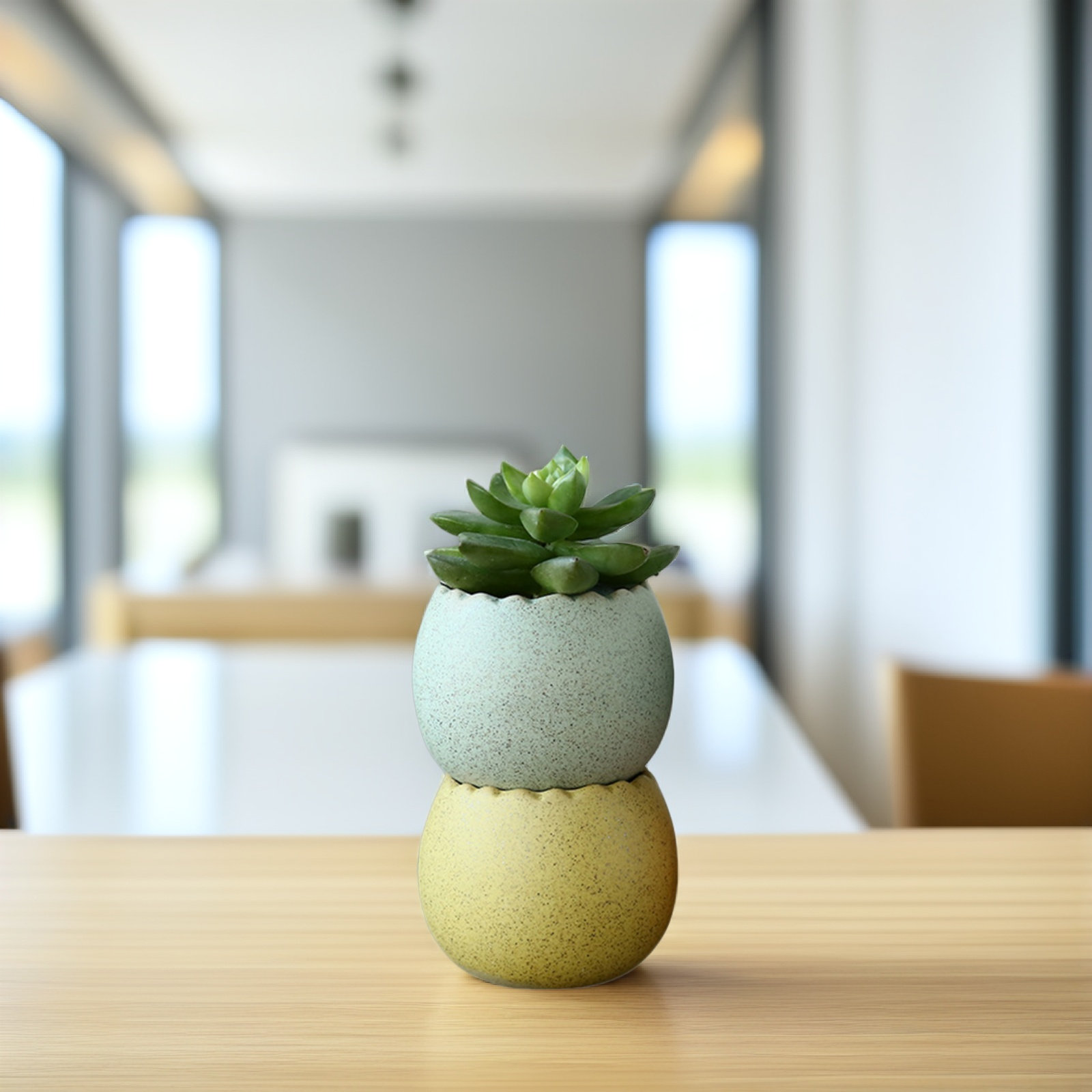 6Pcs Stylish Ceramic Mini Pots - Aloe Vera Pot recensie en prijs