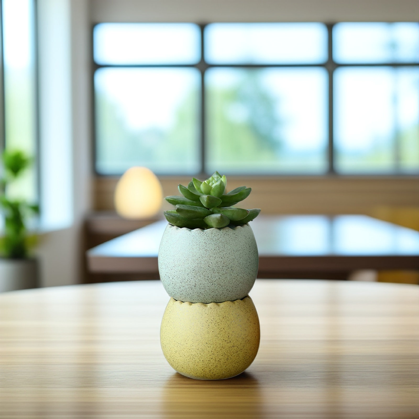 6Pcs Stylish Ceramic Mini Pots - Aloe Vera Pot recensie en prijs