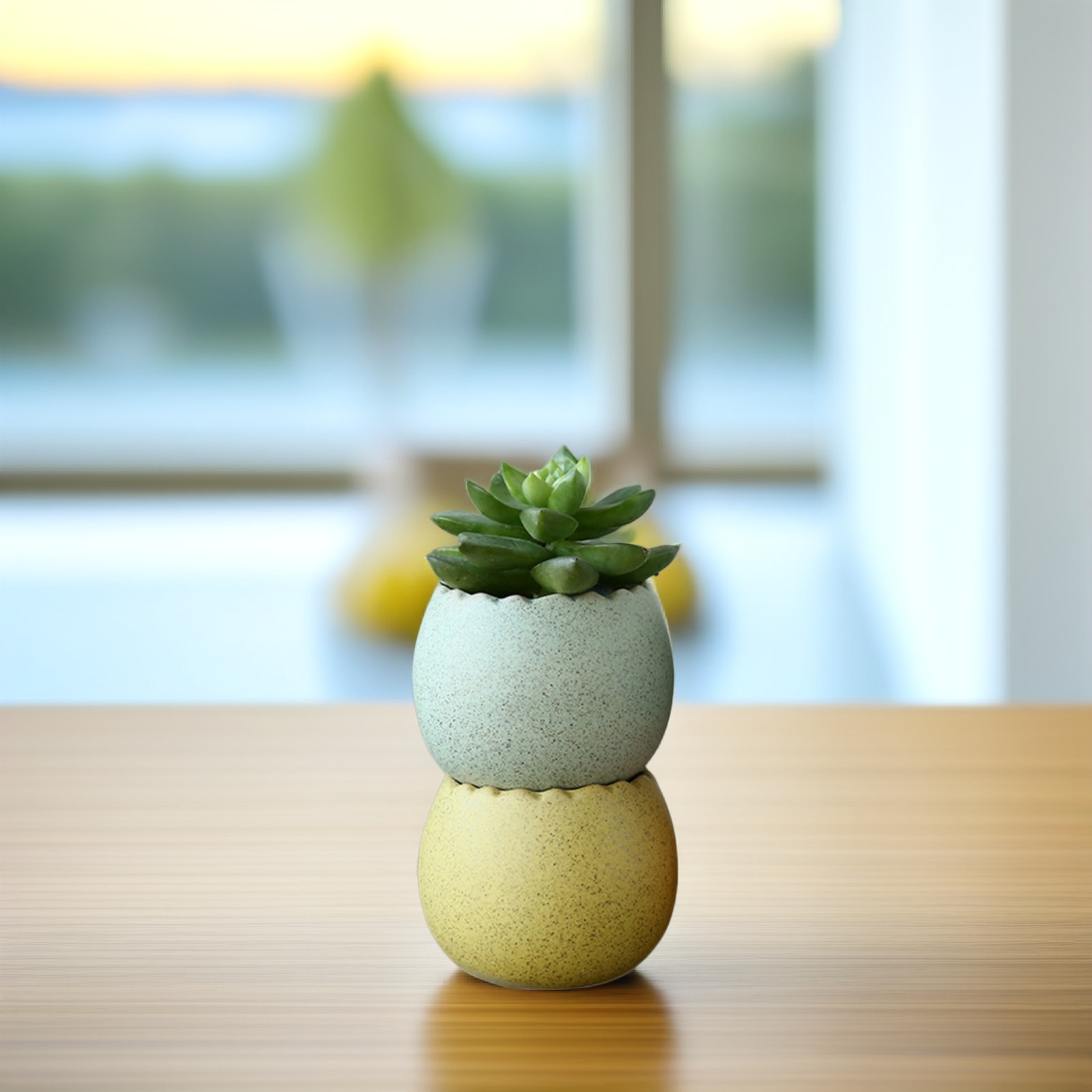 6Pcs Stylish Ceramic Mini Pots - Aloe Vera Pot recensie en prijs