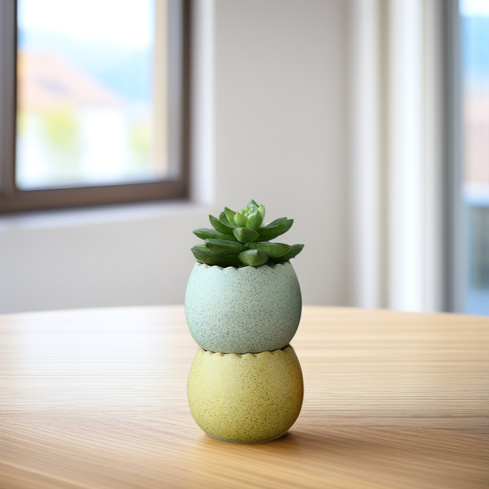 6Pcs Stylish Ceramic Mini Pots - Aloe Vera Pot recensie en prijs