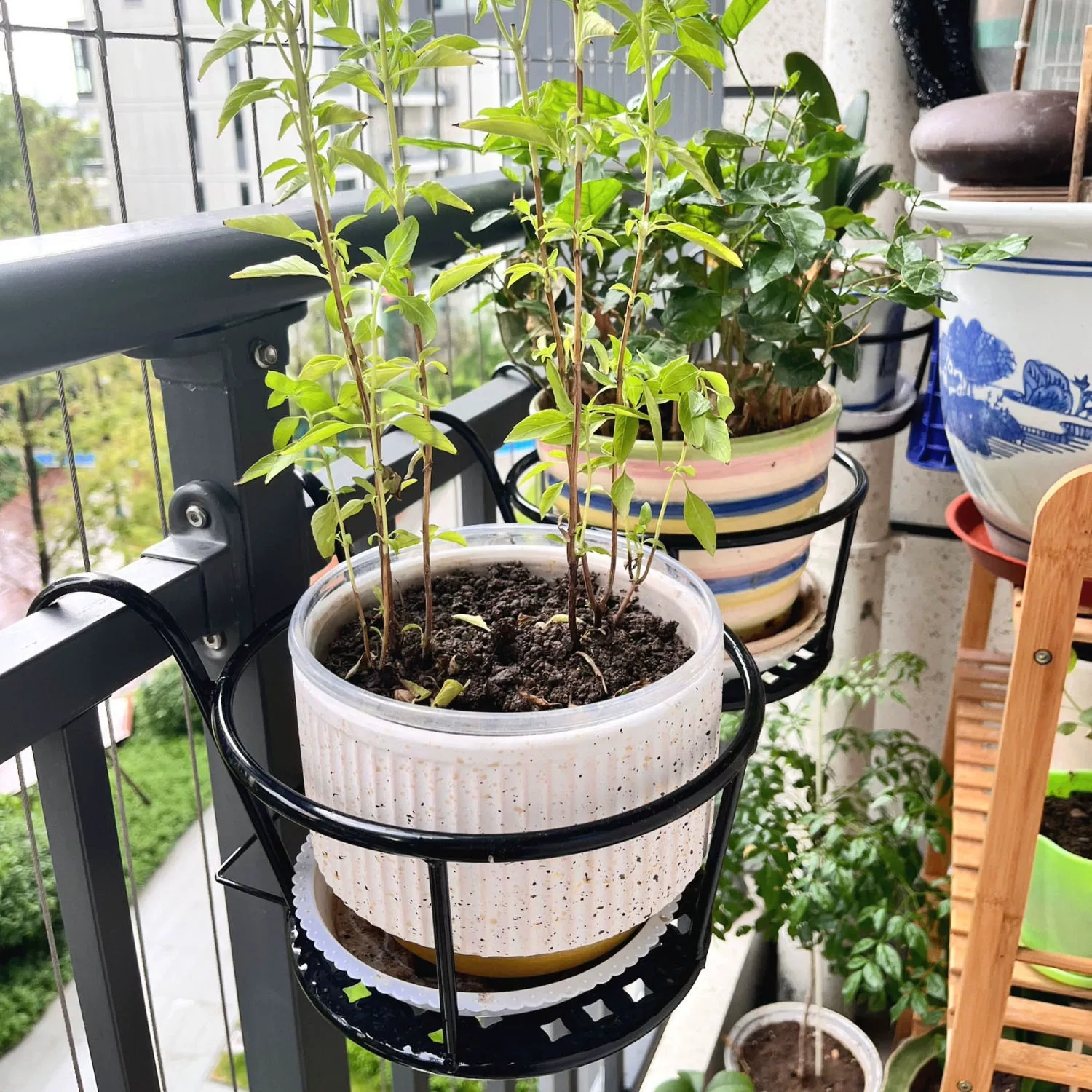 Wrought Iron Balcony Hanging F - Spider Plant Hanging recensie en prijs