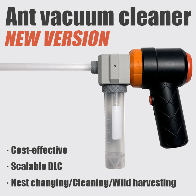 Ant Farm Collection Tool Ants  - Begonia Rex recensie en prijs