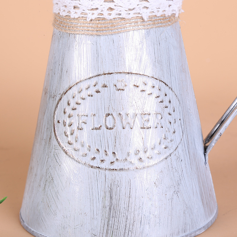 Vintage Tin Bucket Fashionable - Pilea Peperomioides recensie en prijs