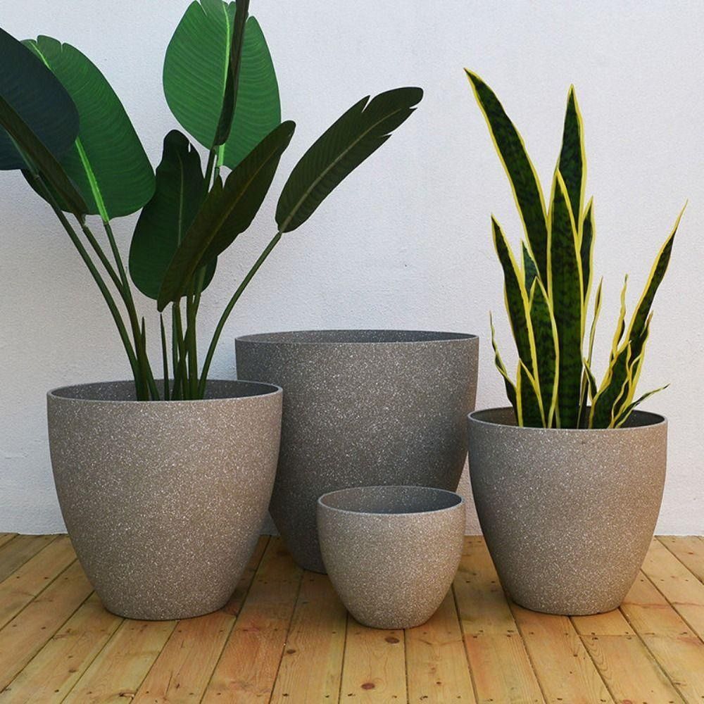 Frosted Imitation Stone Bonsai - Aloe Vera Pot recensie en prijs