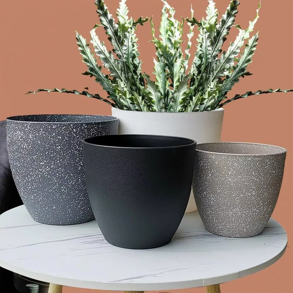 Frosted Imitation Stone Bonsai - Aloe Vera Pot recensie en prijs