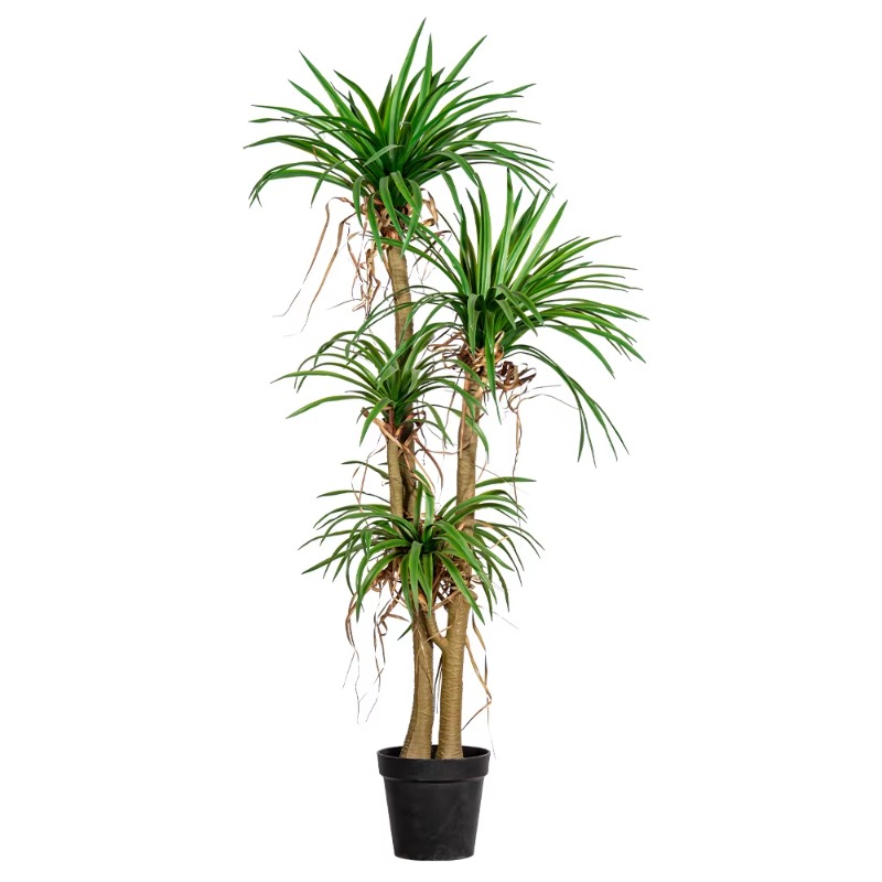 Indoor/Outdoor Home Tree Simul - Dracaena Marginata recensie en prijs