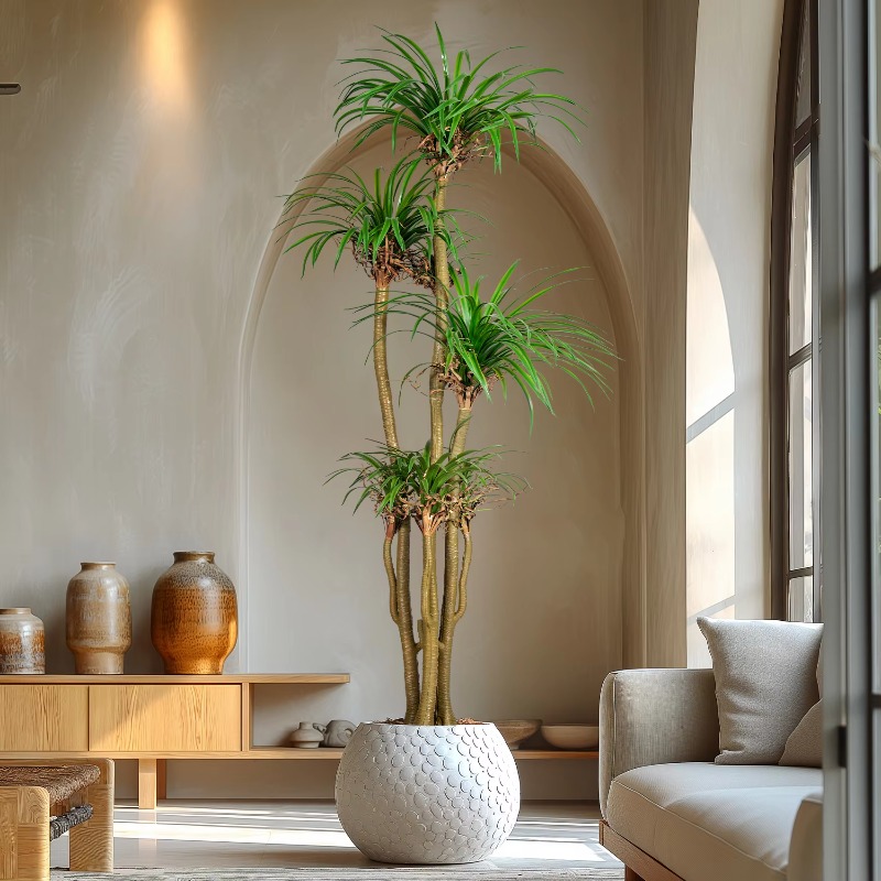 Indoor/Outdoor Home Tree Simul - Dracaena Marginata recensie en prijs