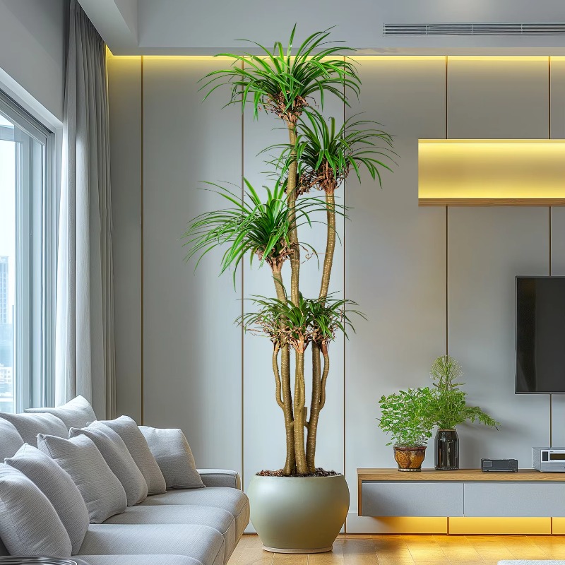 Indoor/Outdoor Home Tree Simul - Dracaena Marginata recensie en prijs