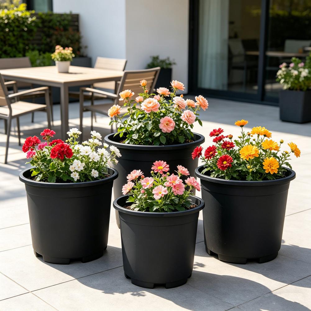 Indoor Plant Pot Black Plastic - Aloe Vera Pot recensie en prijs