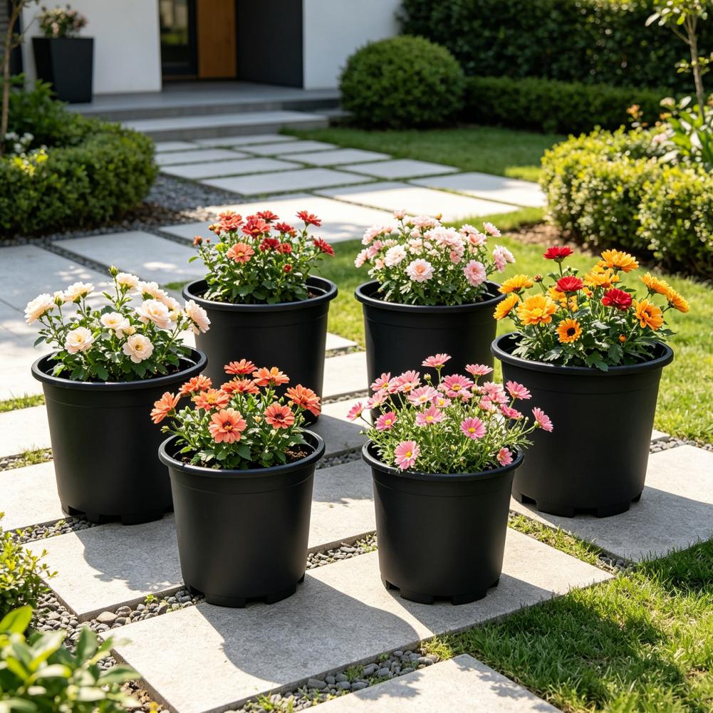 Indoor Plant Pot Black Plastic - Aloe Vera Pot recensie en prijs