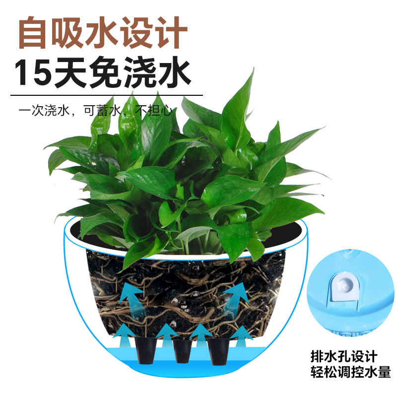 New simple imitation rattan wo - Spider Plant Hanging recensie en prijs