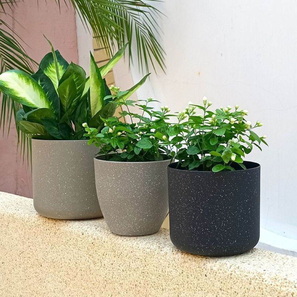 Frosted Imitation Stone Flower - Aloe Vera Pot recensie en prijs