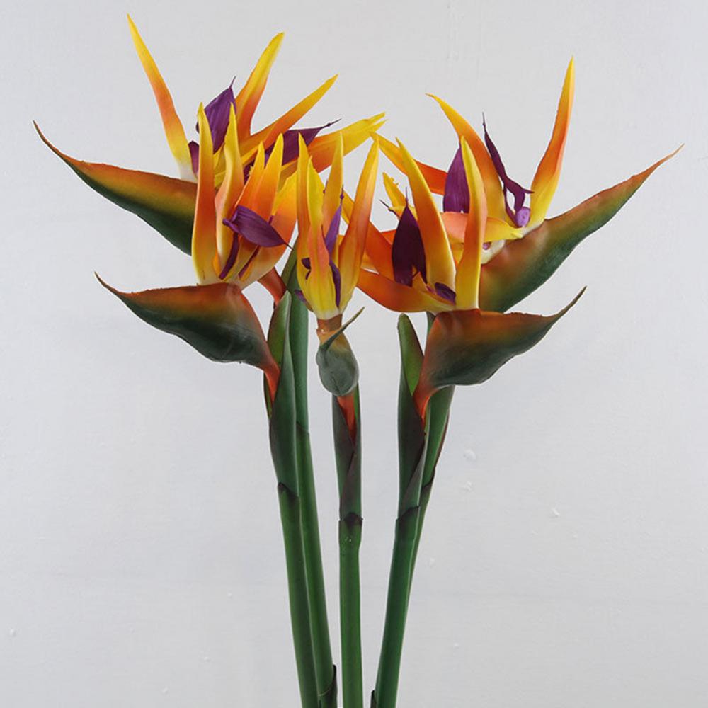 1pc 80cm Flower Bird Of Paradi - Bird Paradise Strelitzia recensie en prijs