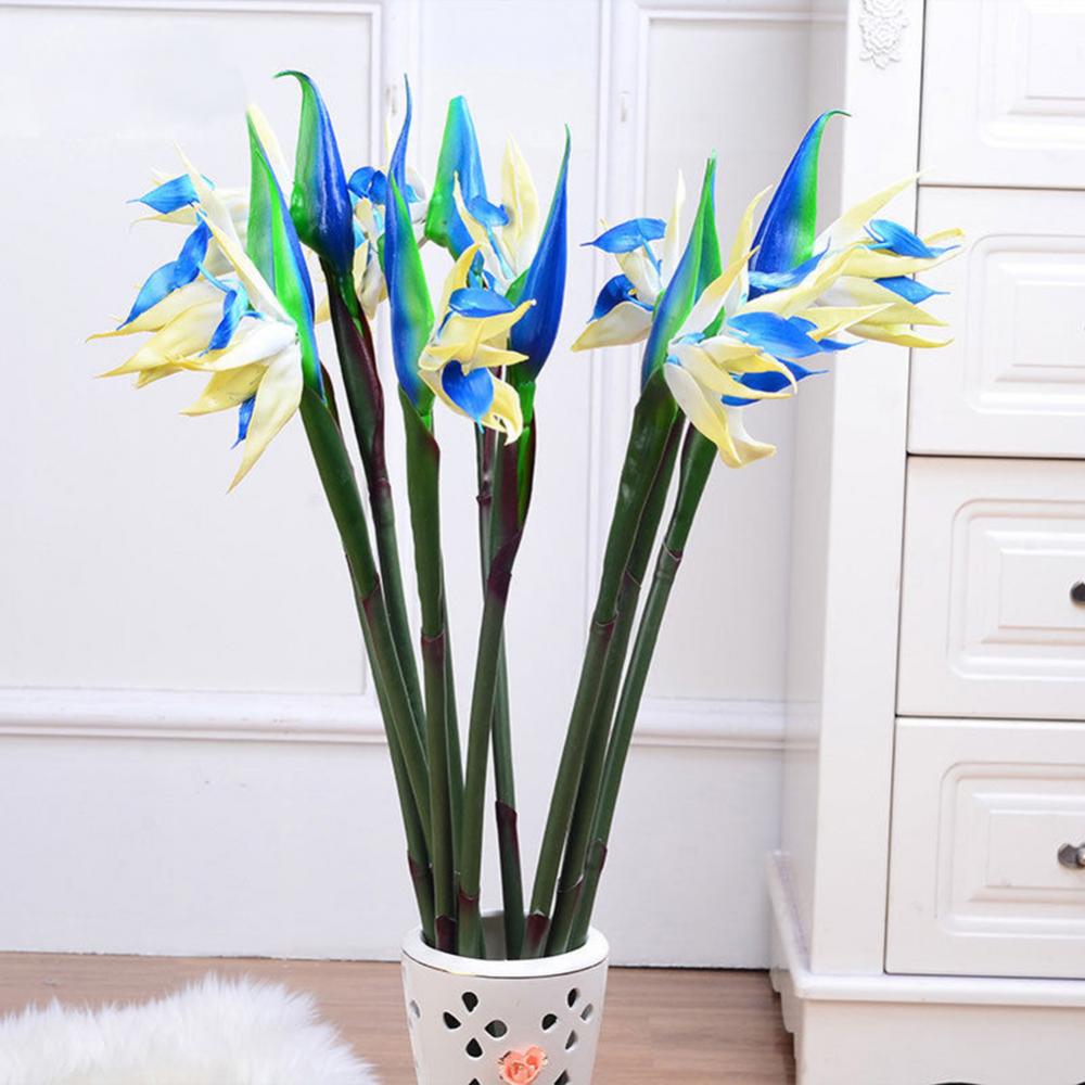 1pc 80cm Flower Bird Of Paradi - Bird Paradise Strelitzia recensie en prijs