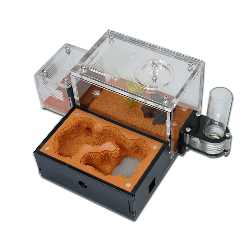 Yellow Soil Ant Farm with Exte - Begonia Rex recensie en prijs