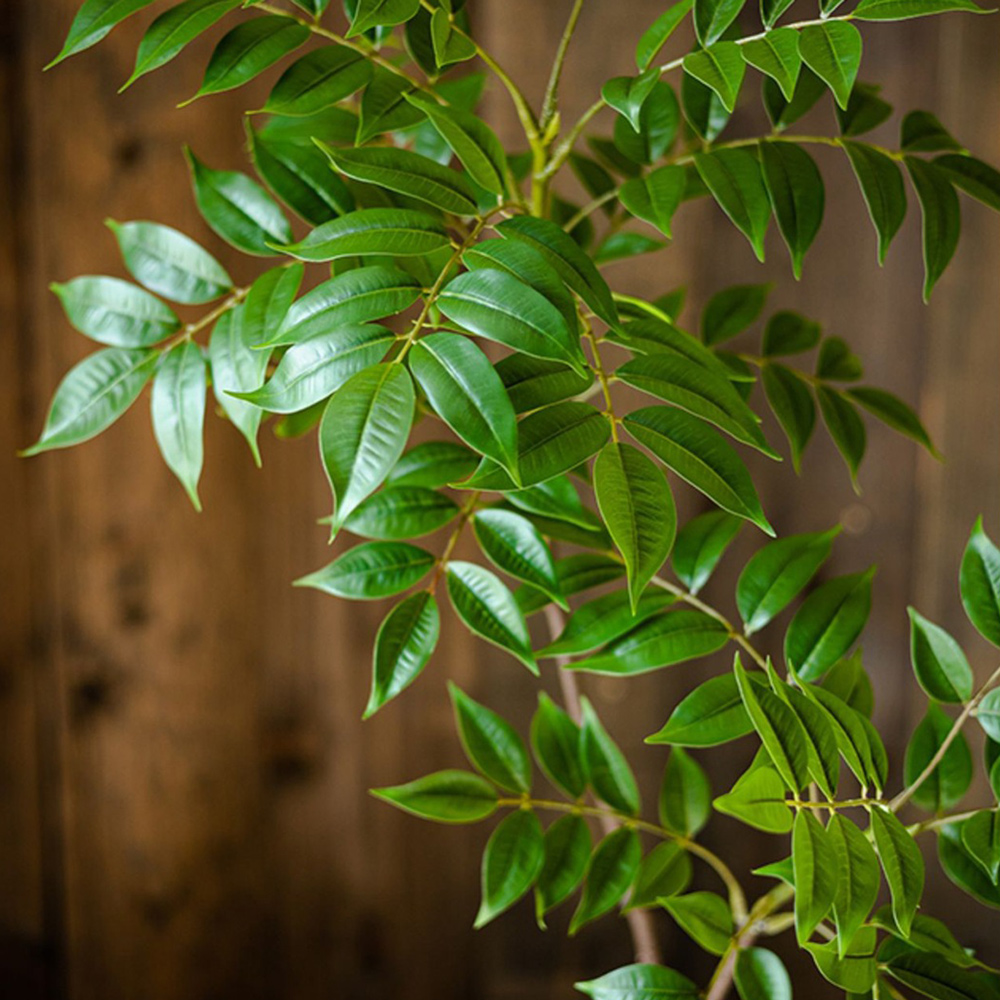 76-140cm Large Artificial Ficu - Ficus Lyrata Tree recensie en prijs