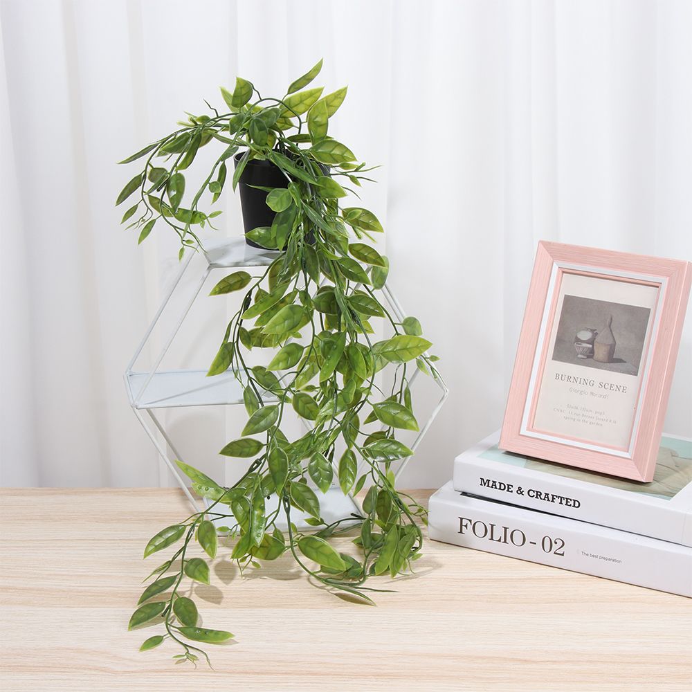 Artificial Hanging Plants with - Pilea Peperomioides recensie en prijs
