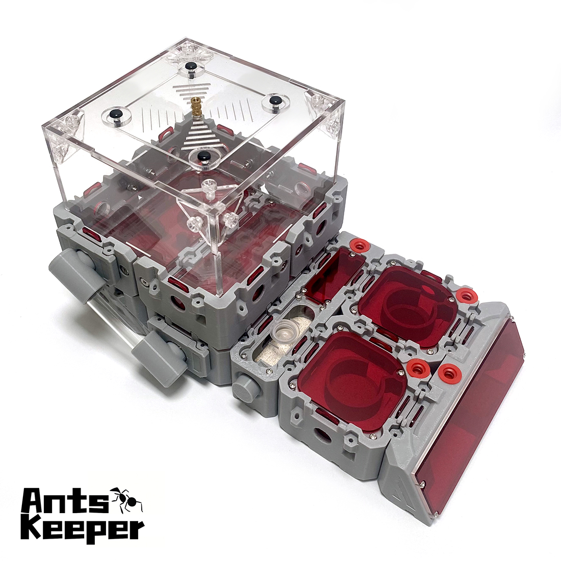 【Lego】Expandable Modular Formi - Begonia Rex recensie en prijs