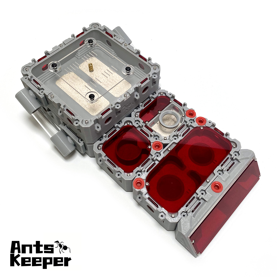 【Lego】Expandable Modular Formi - Begonia Rex recensie en prijs
