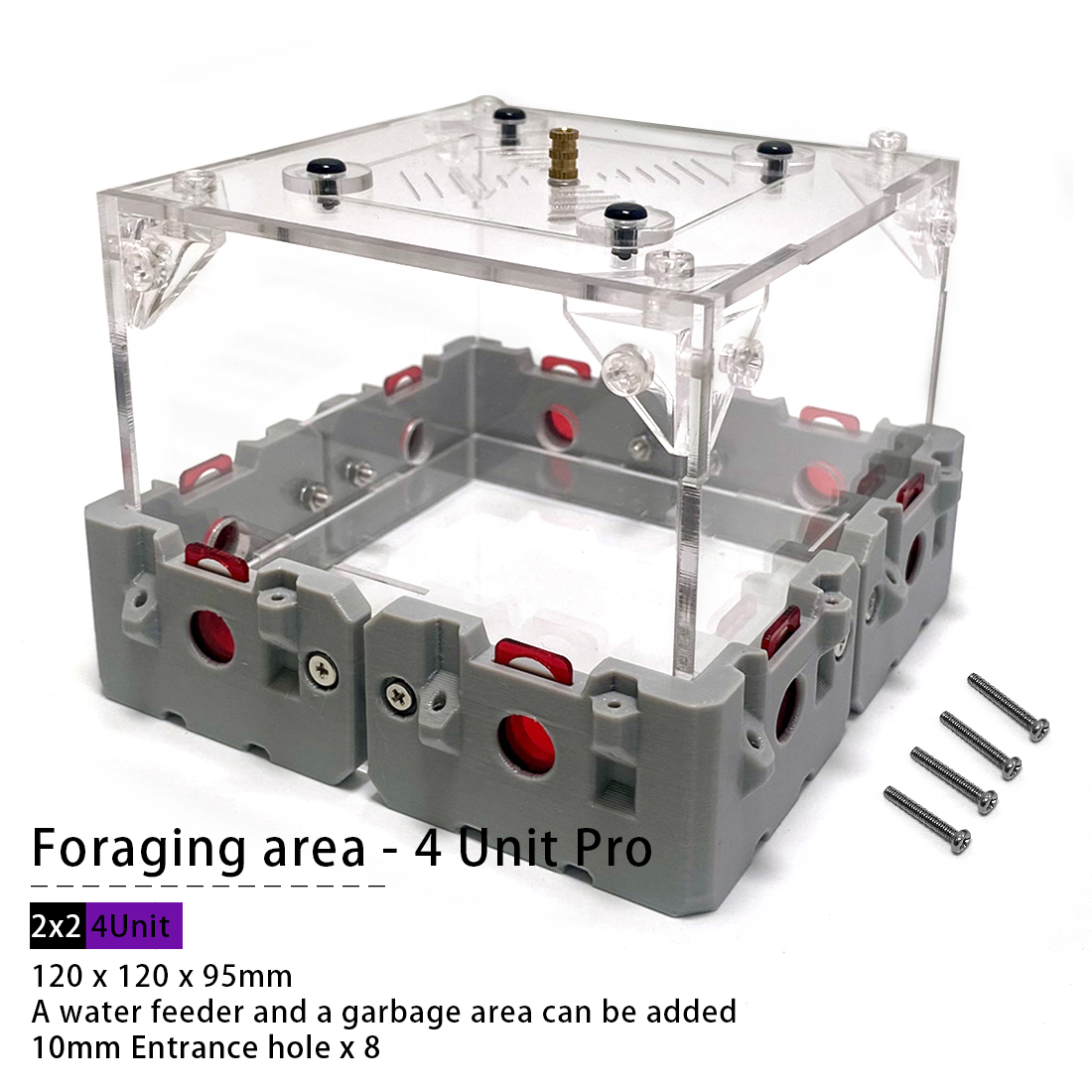 【Lego】Expandable Modular Formi - Begonia Rex recensie en prijs