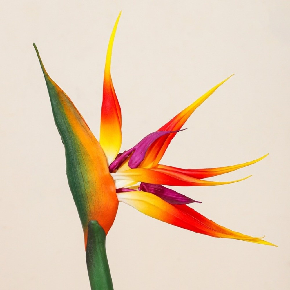 New Long Stem Artificial Bird  - Bird Paradise Strelitzia recensie en prijs