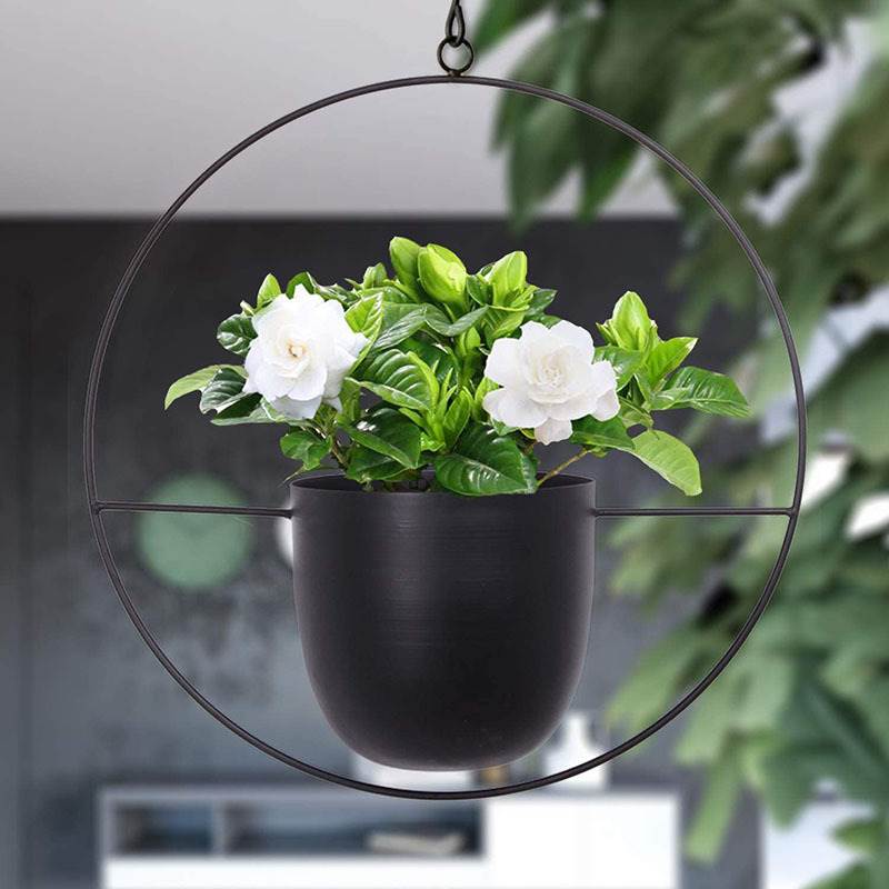 Hanging Iron Art Plant Pots Ba - Spider Plant Hanging recensie en prijs