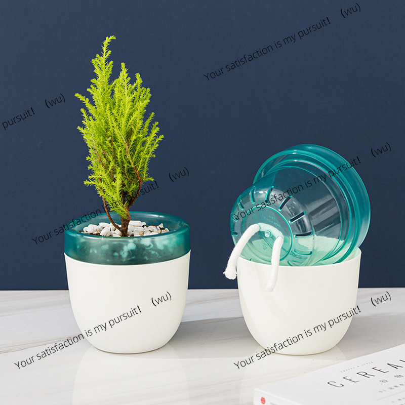 Automatic Water Absorption Laz - Aloe Vera Pot recensie en prijs