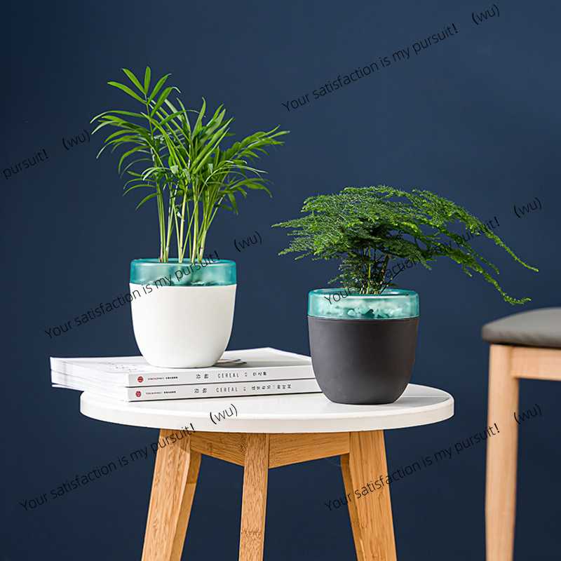 Automatic Water Absorption Laz - Aloe Vera Pot recensie en prijs