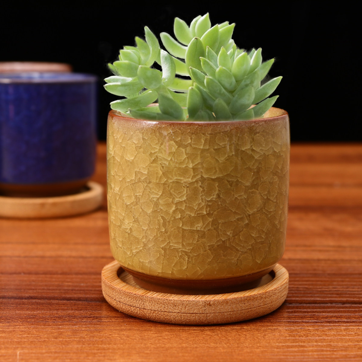 Mini Cracked Glaze Ceramic Pot - Aloe Vera Pot recensie en prijs