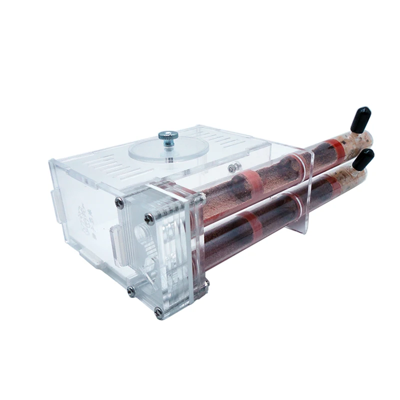DIY Ant Farm 2 pcs 18-180mm Gy - Begonia Rex recensie en prijs