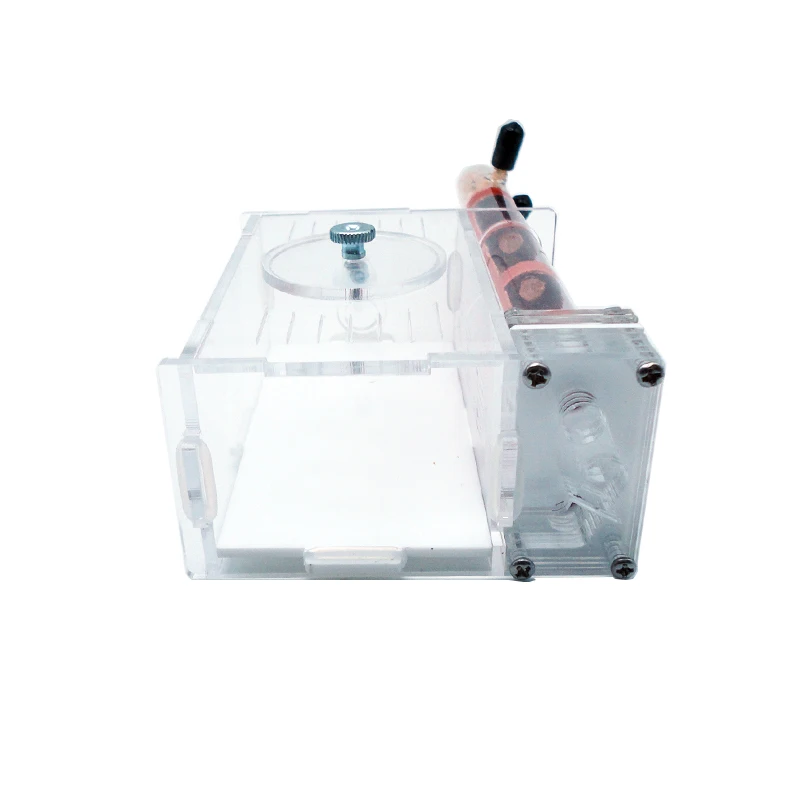DIY Ant Farm 2 pcs 18-180mm Gy - Begonia Rex recensie en prijs