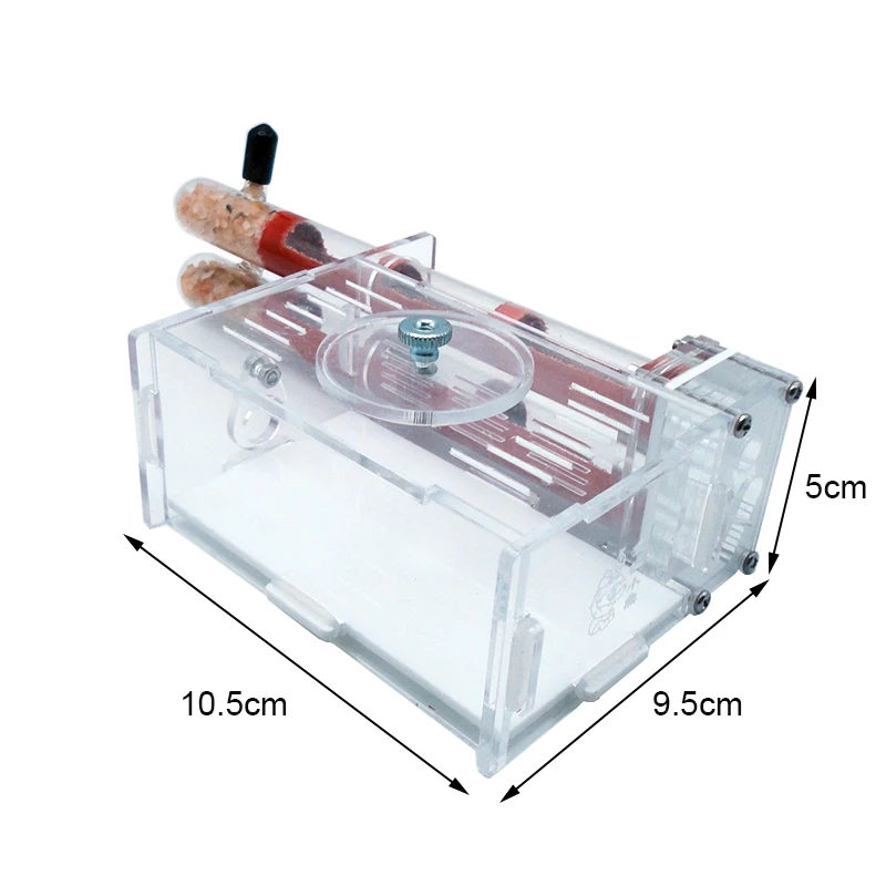 DIY Ant Farm 2 pcs 18-180mm Gy - Begonia Rex recensie en prijs