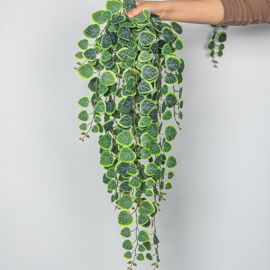 60-80cm Artificial Hanging Vin - Pilea Peperomioides recensie en prijs