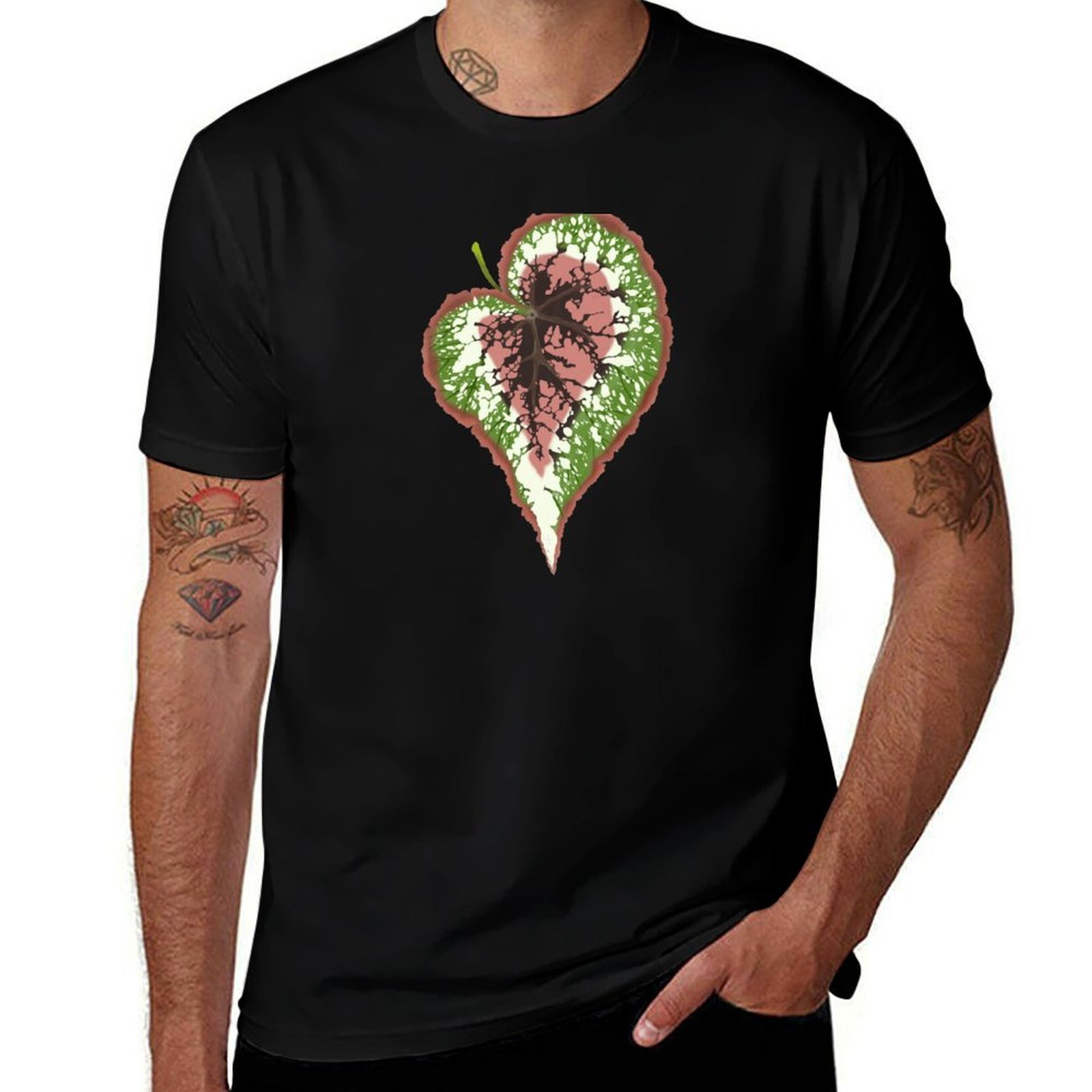 Begonia Rex T-Shirt Basic Simp - Begonia Rex recensie en prijs