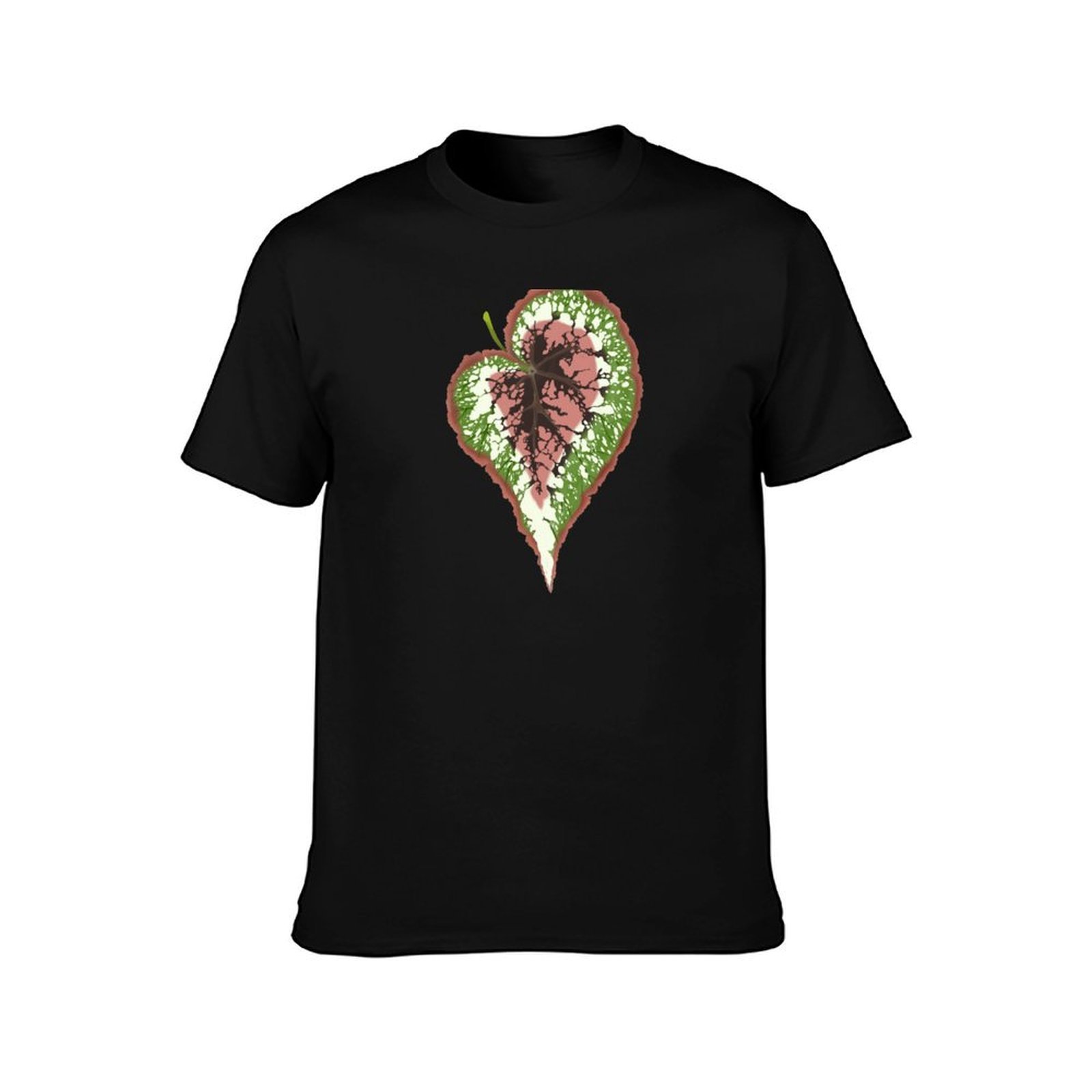 Begonia Rex T-Shirt Basic Simp - Begonia Rex recensie en prijs